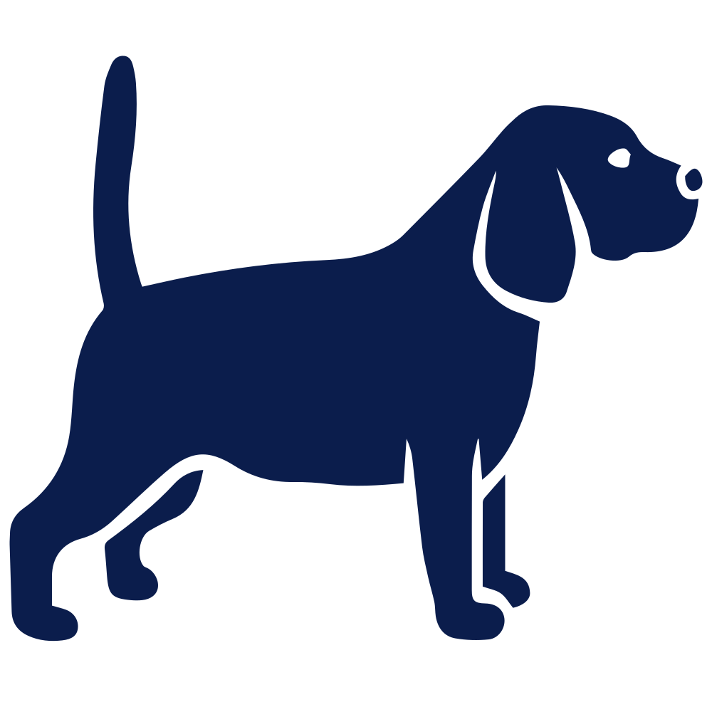 ezgif-1a981bf13fcbfd