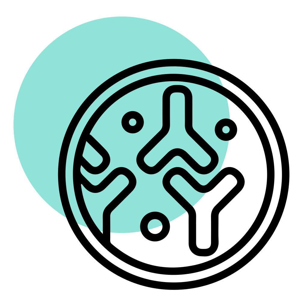 ezgif-849ab8f16e55ce